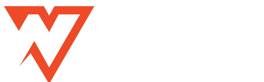 VN Consultancy Services